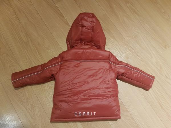 Новая куртка Esprit p92/98 (фото #2)