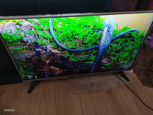 43-дюймовый телевизор LG с разрешением Full HD (фото #3)