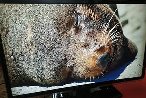 47" Philips Ambilight Full HD telekas (2 foto / 6)