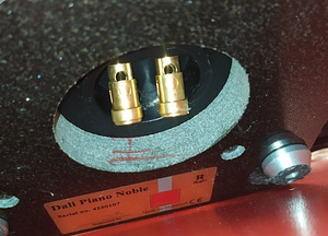 Dali Piano HiFi kõlarid (8 foto / 9)