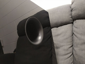 Kvaliteetne Yamaha NS-SW700 subwoofer (4 foto / 8)
