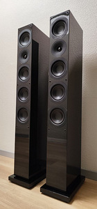System Audio Saxo 50 kõlarid (6 foto / 10)