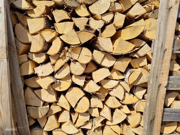 Сухие дрова ( ольха и берёза ) (фото #1)