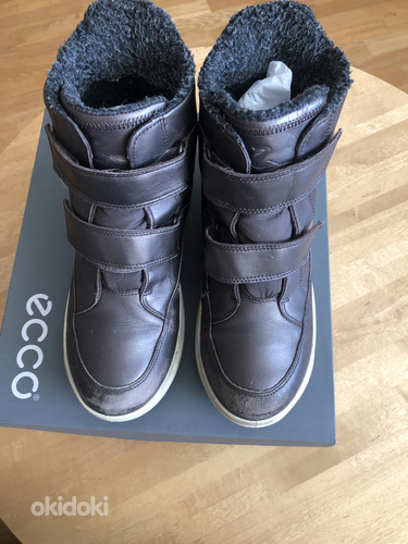 Зимние ботинки Ecco 38 (фото #1)