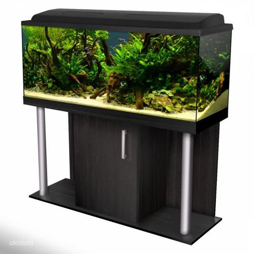 Akvaarium Diversa Comfort 300L. LED (foto #1)