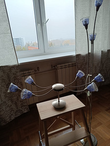 Komplekt: laelamp + põrandalamp (2 foto / 2)
