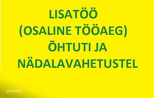 Administraator-puhastusteenindaja laste mängutuppa (2 foto / 2)