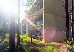 Männimetsa tee 10, Nõmme, Tallinn, Harjumaa (23 foto / 50)