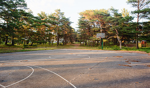Männimetsa tee 10, Nõmme, Tallinn, Harjumaa (26 foto / 50)