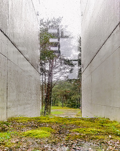 Männimetsa tee 10, Nõmme, Tallinn, Harjumaa (42 foto / 50)