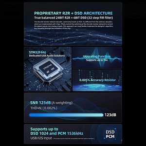 Цифро-аналоговый преобразователь Musician Pegasus II R2R DAC (6 фото из 7)