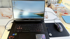 MSI Katana 17 (B13VGK-832NL)