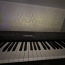 Korg 1N piano (foto #2)