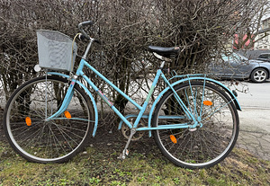 Veneaegne naisteratas (1 foto / 3)