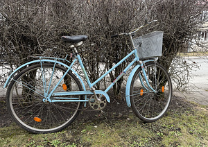 Veneaegne naisteratas (2 foto / 3)