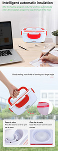 Food Warmer Electric Lunch Box Laos (6 foto / 10)