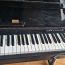 Klaver tasuta (foto #1)