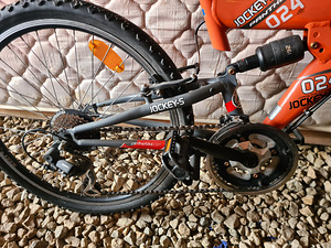 Laste jalgrattas Panther 24 (3 foto / 3)