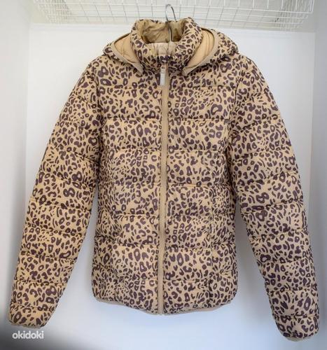 Куртка для девочки, размер 158-164 (фото #1)
