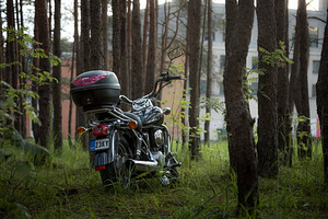Honda shadow VT125c (2 foto / 5)