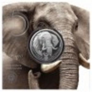 2021 1 oz 5 Rand South African Big Five II Silver Elephant (1 foto / 3)