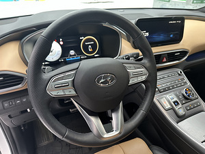 Hyundai Santa Fe Calligraphy 4WD 8DCT 2.2 CRDI (10 foto / 15)