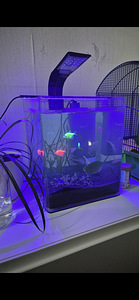 Akvaarium Dennerle 20 l (1 foto / 5)