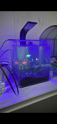 Akvaarium Dennerle 20 l