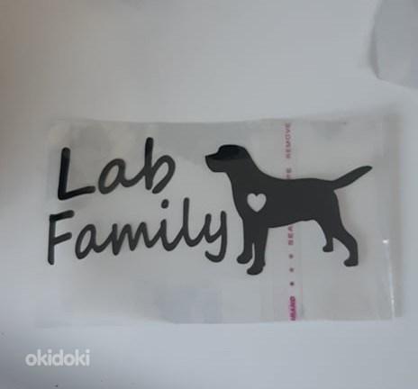 Наклейка lab family (фото #1)