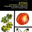 Атлас болезней и вредителей плодовых, ягодных, овощных культ (фото #1)