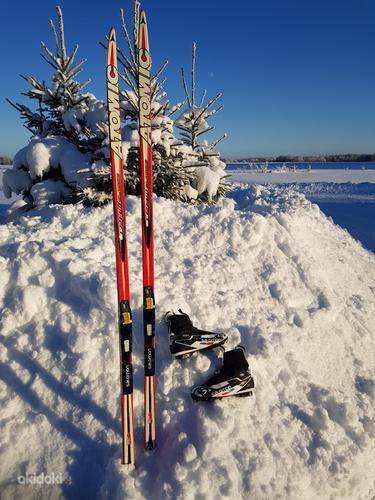Лыжи ATOMIC и ботинки SNS Salomon (фото #1)