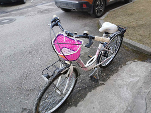 Bottecchia lady24 (3 foto / 3)