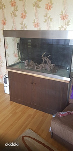 Аквариум 360 л (3 фото из 3)