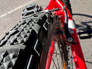 Laste jalgratas Classic, 20’’ rattad (4 foto / 6)