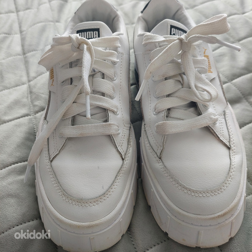 Puma 39