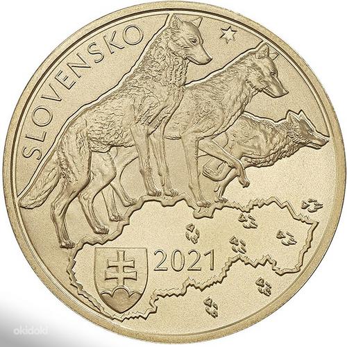 Slovakkia 5 euro 2021 - Hunt originaal kapslis pangast (foto #2)