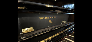 STEINWAY & SONS klaver (5 foto / 7)