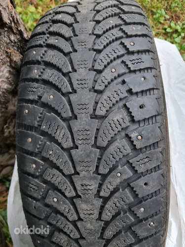 Rehvid 195/65 R15 MS