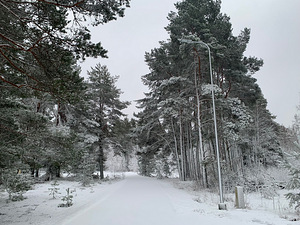 Ojakalda tee 3, Kloogaranna, Lääne-Harju vald, Harjumaa (2 foto / 8)
