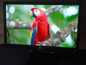 HP E231 23” FullHD 1920x1080 monitor (2 foto / 4)