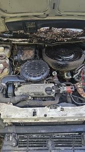 Seat Ibiza (6 foto / 7)