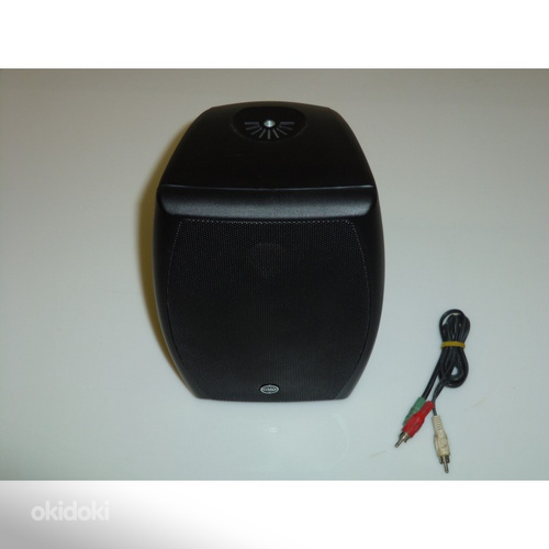 Monitorkõlar CVG audio ODF516T (foto #3)