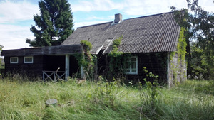 Дом в деревне Irvala (4 фото из 8)