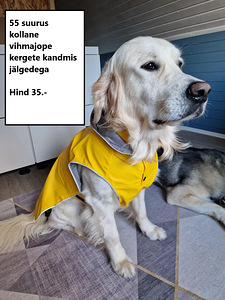 Lemmikloomale (2 foto / 7)