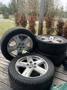 R19 veljed + hakkapeliitta sport plus (1 foto / 5)