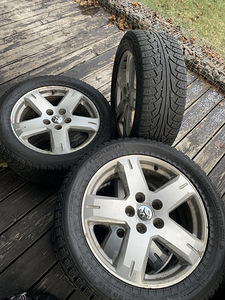 R19 veljed + hakkapeliitta sport plus (4 foto / 5)