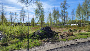 Jõelähtme vald, Harjumaa (16 foto / 16)