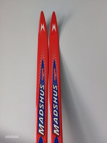Madshus лыжи Lillehammer Touring Series 210см (фото #1)