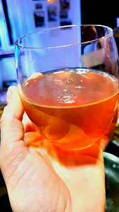 Teeseen / Kombucha (värske kiht). (2 foto / 3)
