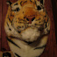Большая голова тигра (фото #1)